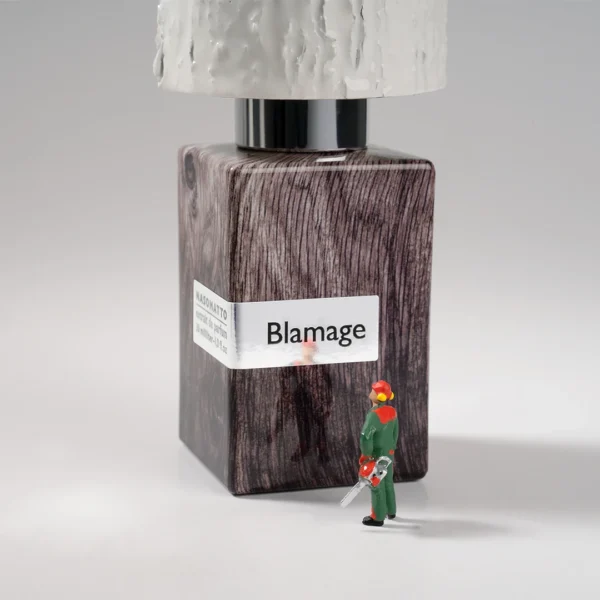 Blamage - Image 2