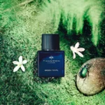 GREEN PEARL - Image 2