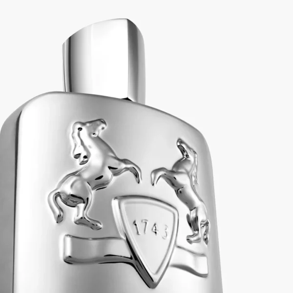 PEGASUS - Image 3