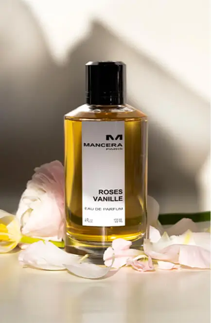 Roses Vanille